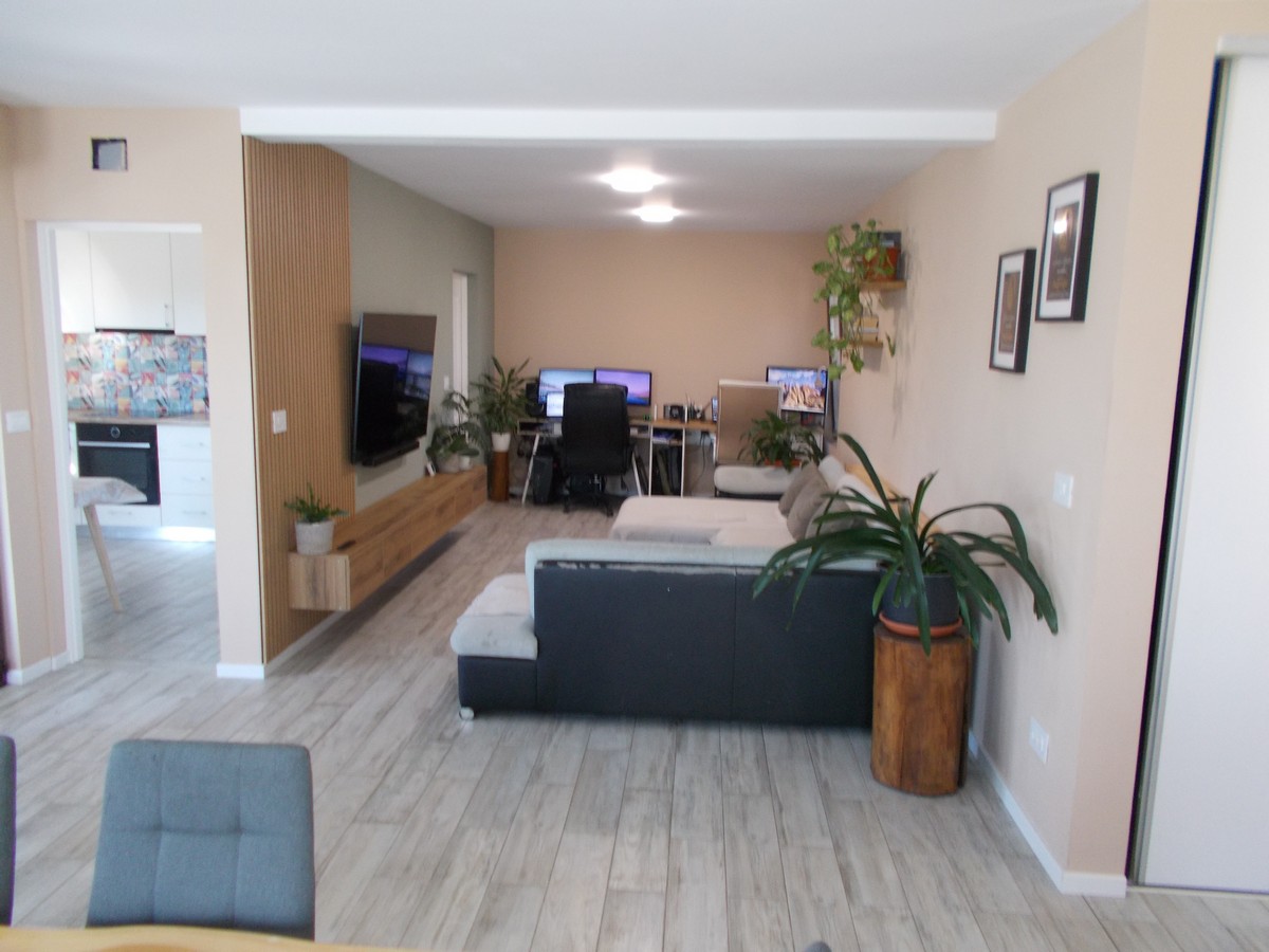 imobiliare timisoara