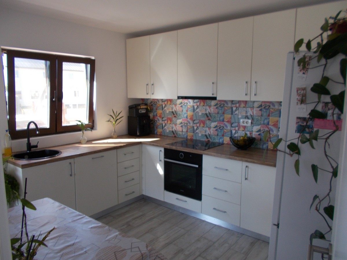 imobiliare timisoara