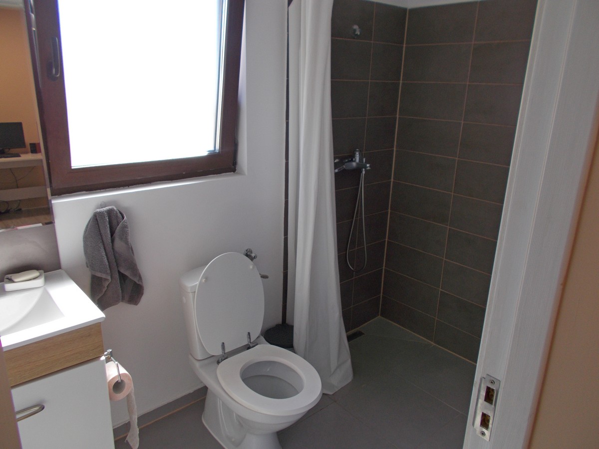 imobiliare timisoara