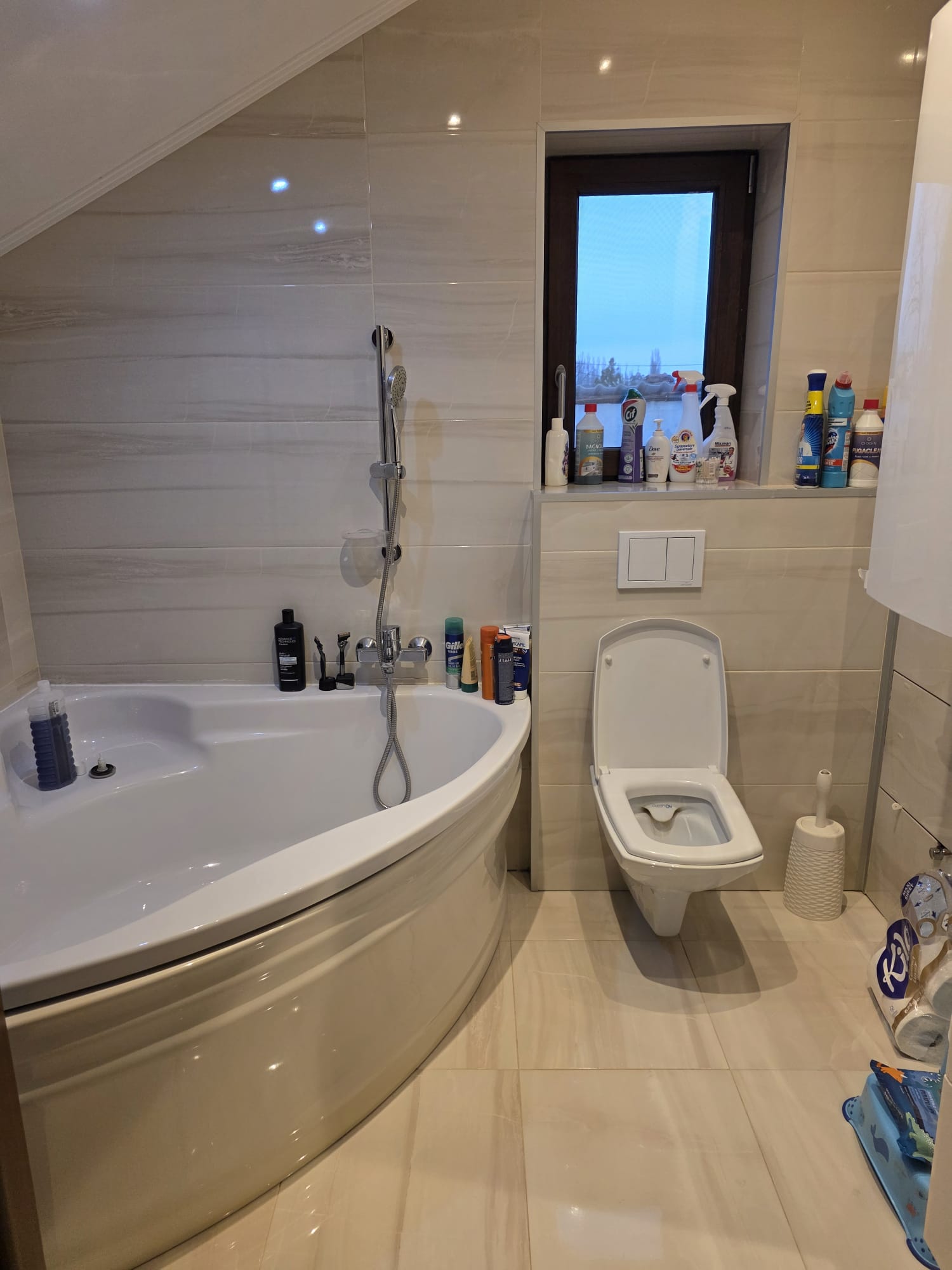 imobiliare timisoara