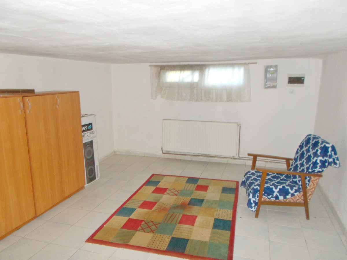 imobiliare timisoara