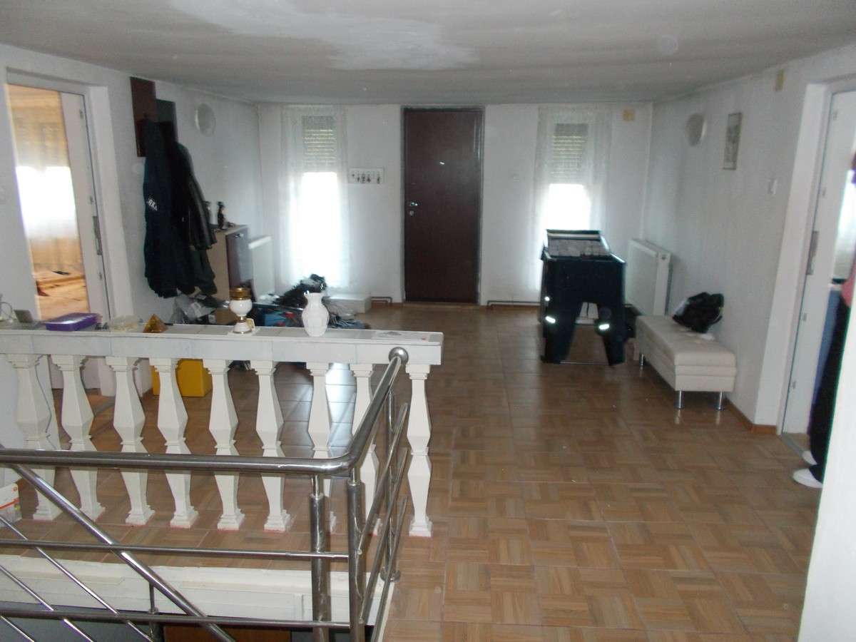 imobiliare timisoara