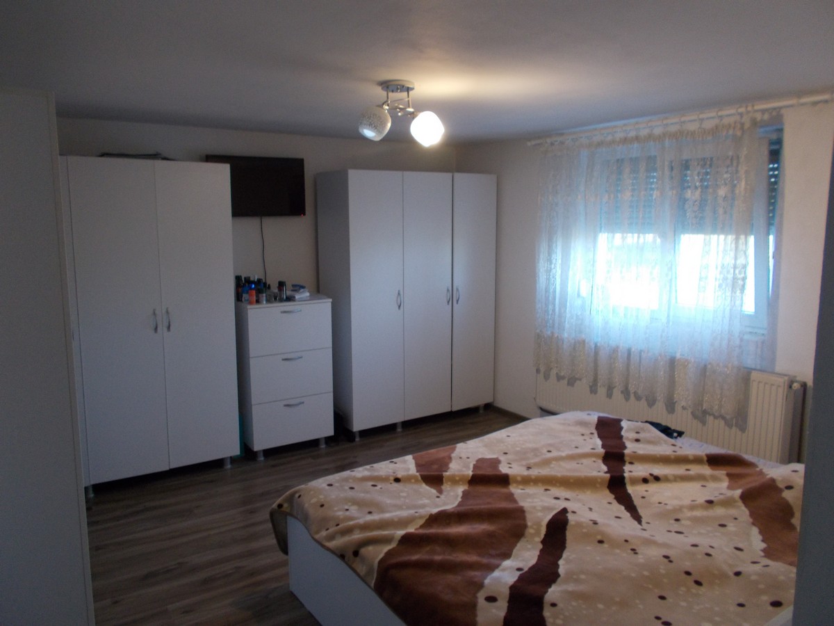 imobiliare timisoara