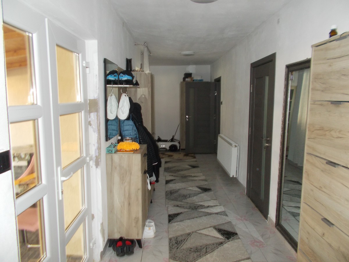 imobiliare timisoara