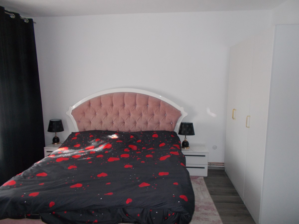 imobiliare timisoara