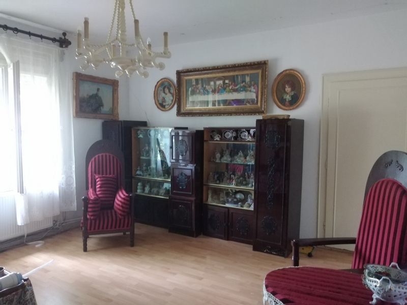 imobiliare timisoara
