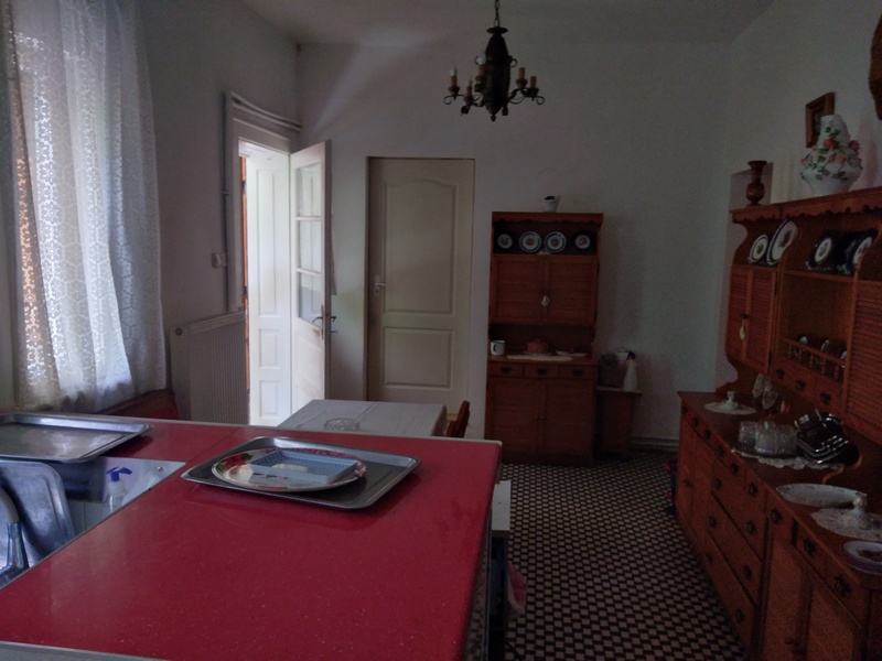 imobiliare timisoara
