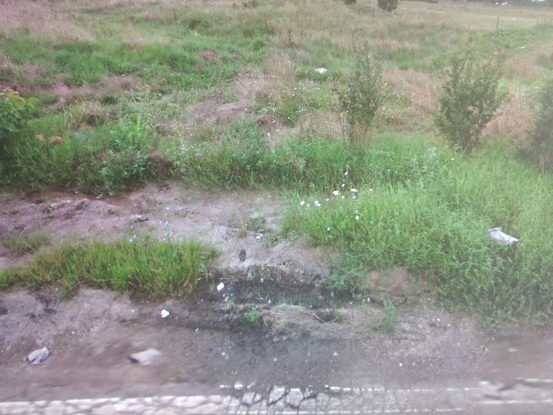 imobiliare timisoara terenuri