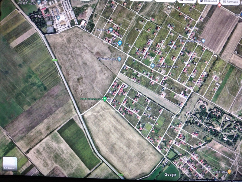imobiliare timisoara