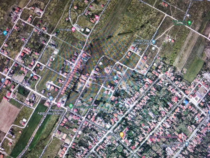 imobiliare timisoara