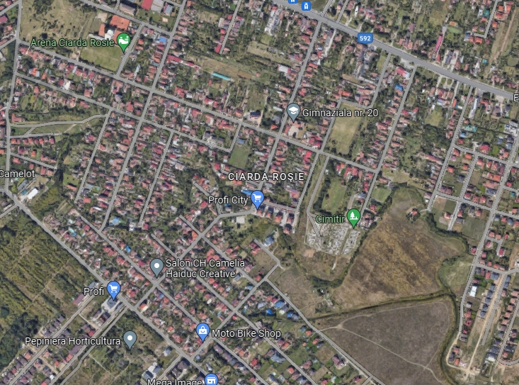 imobiliare timisoara