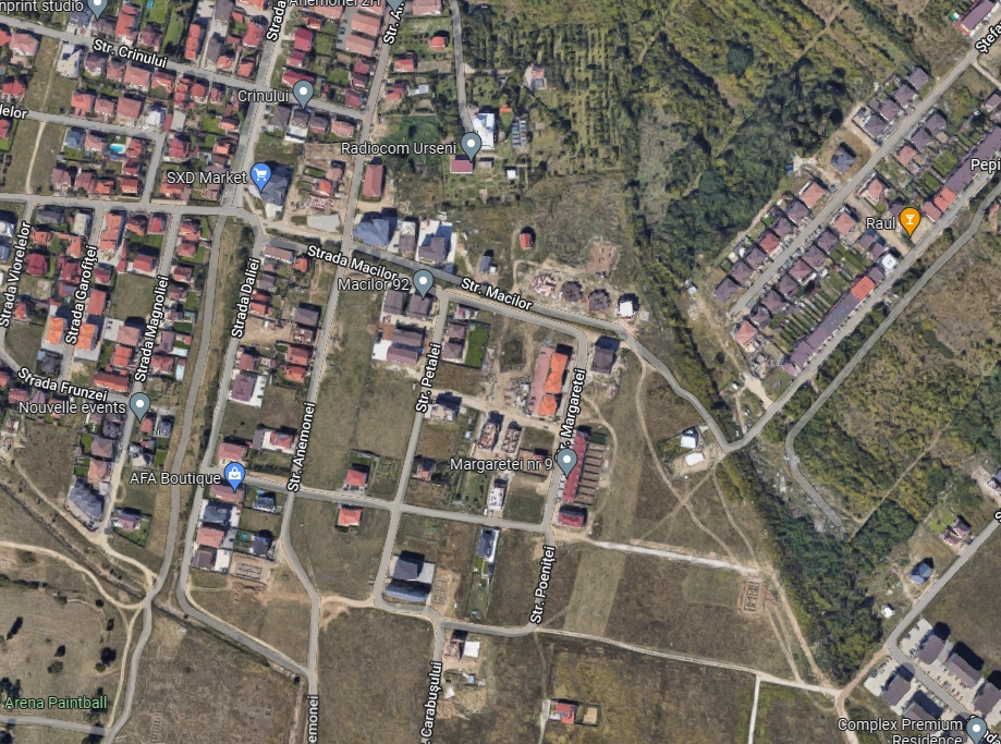 imobiliare timisoara