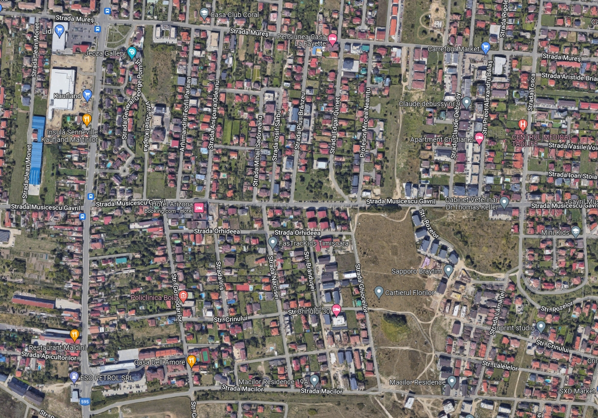 imobiliare timisoara