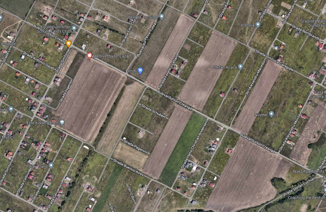 imobiliare timisoara