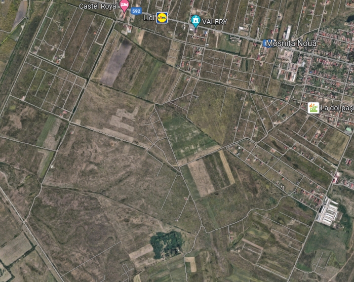 imobiliare timisoara