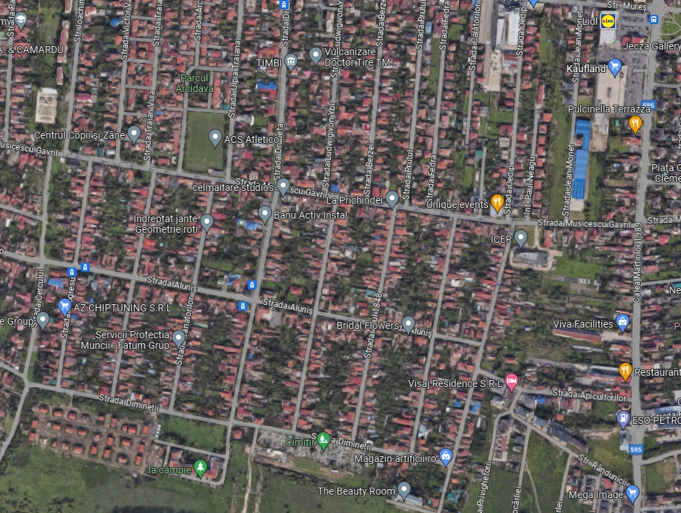 imobiliare timisoara