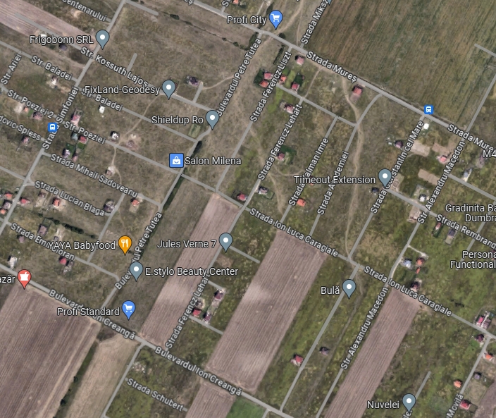 imobiliare timisoara