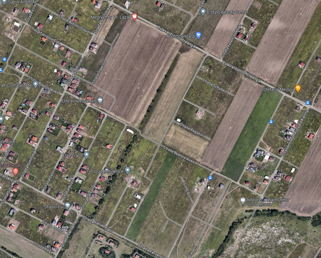 imobiliare timisoara