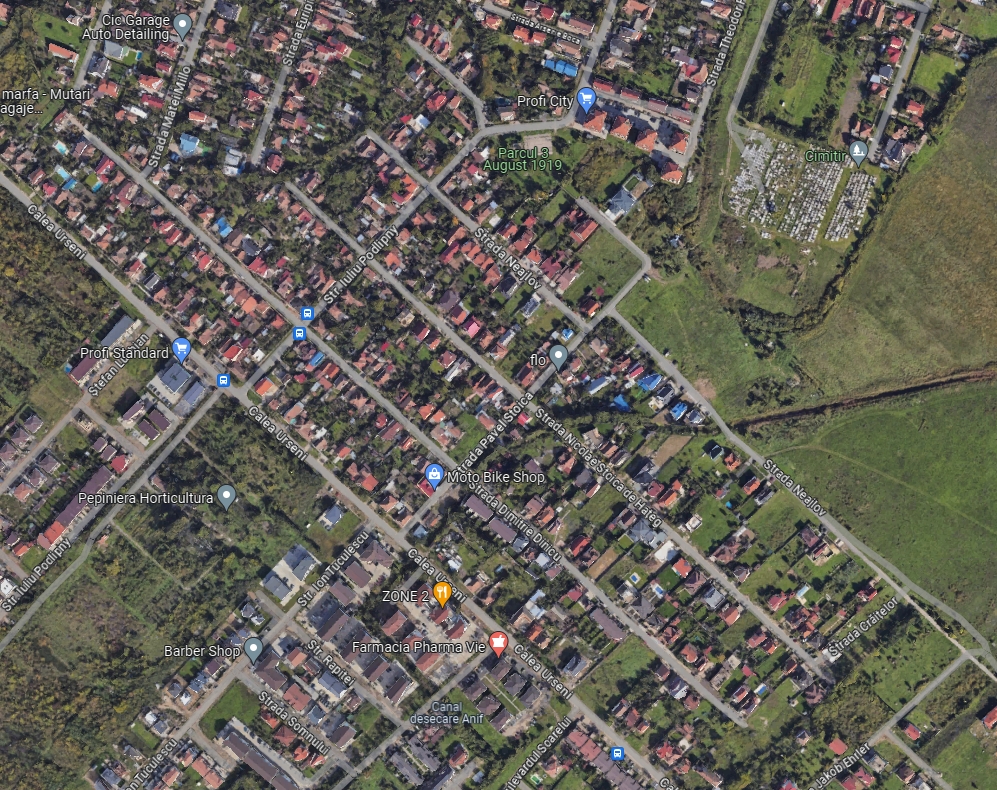 imobiliare timisoara