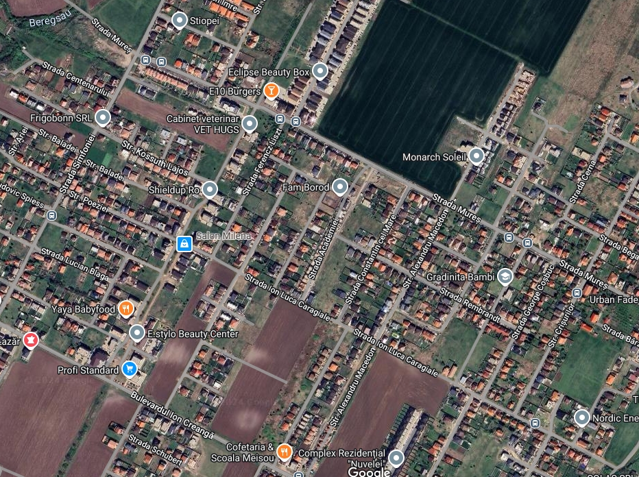 imobiliare timisoara