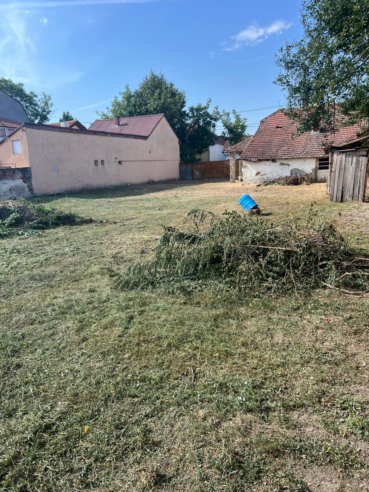 imobiliare timisoara terenuri