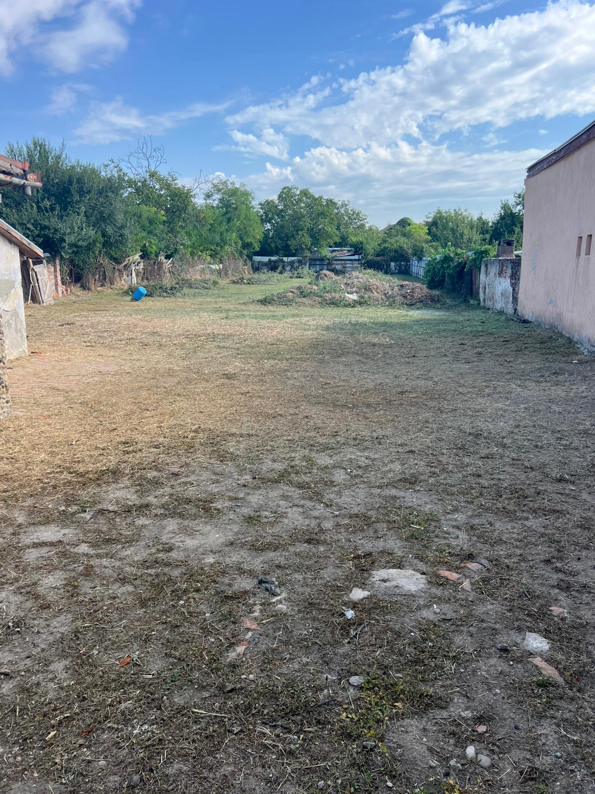 imobiliare timisoara terenuri
