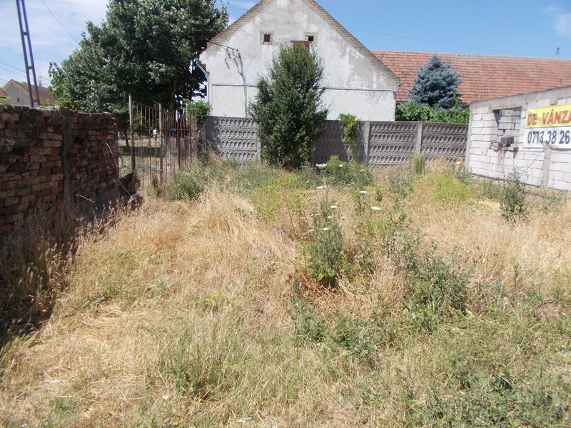 imobiliare timisoara terenuri