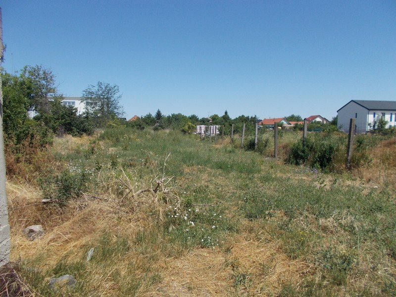 imobiliare timisoara terenuri
