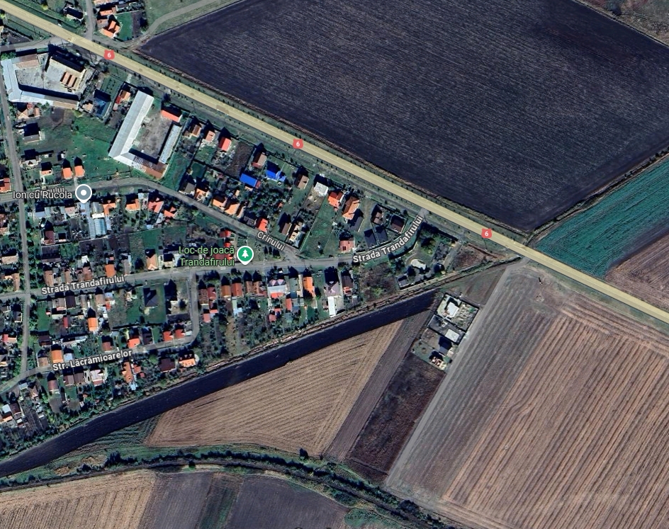 imobiliare timisoara