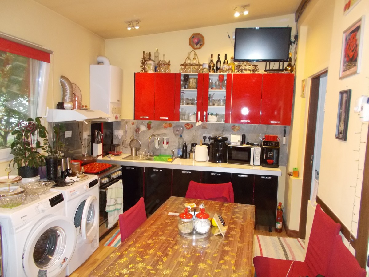 imobiliare timisoara