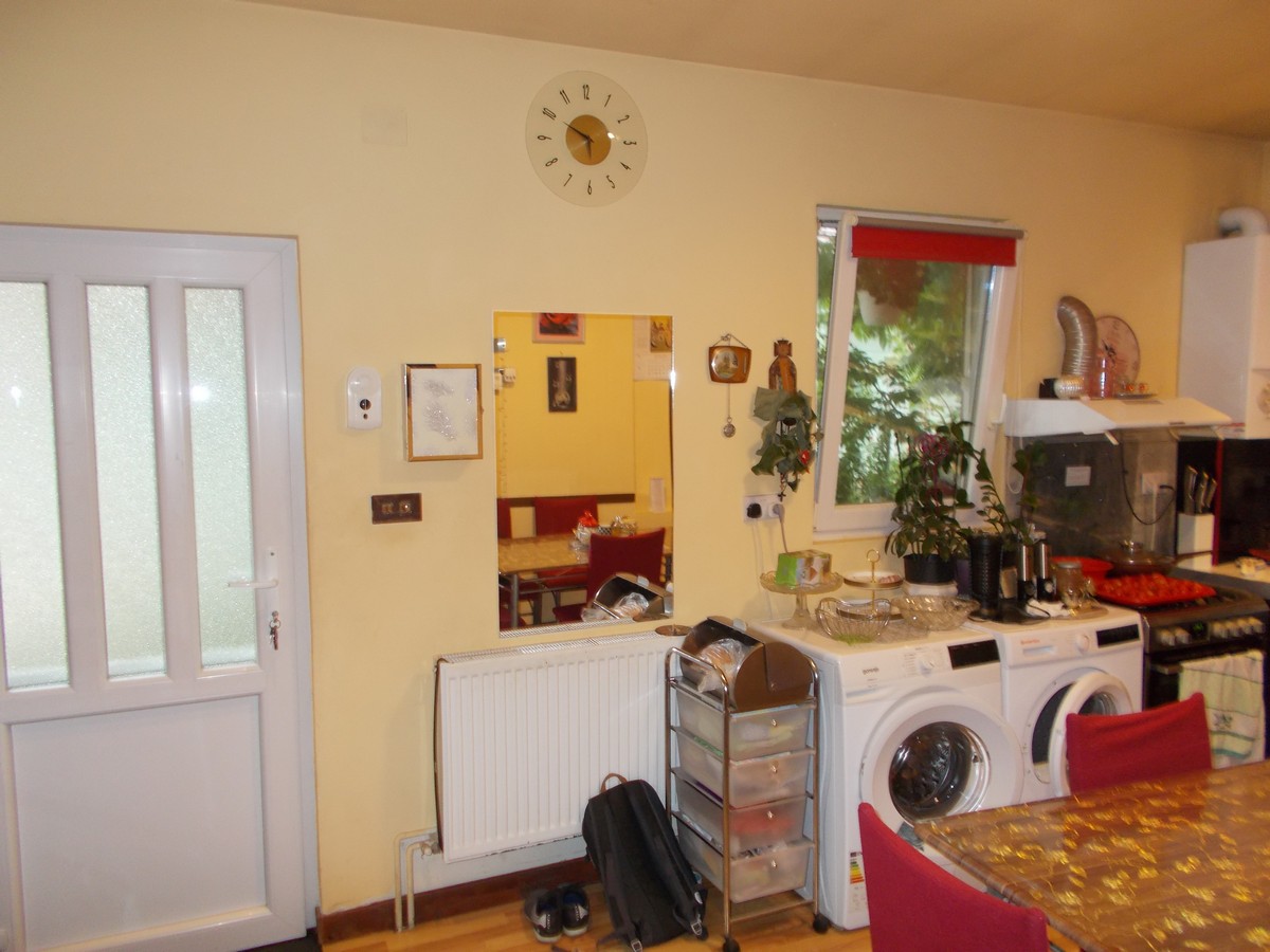 imobiliare timisoara